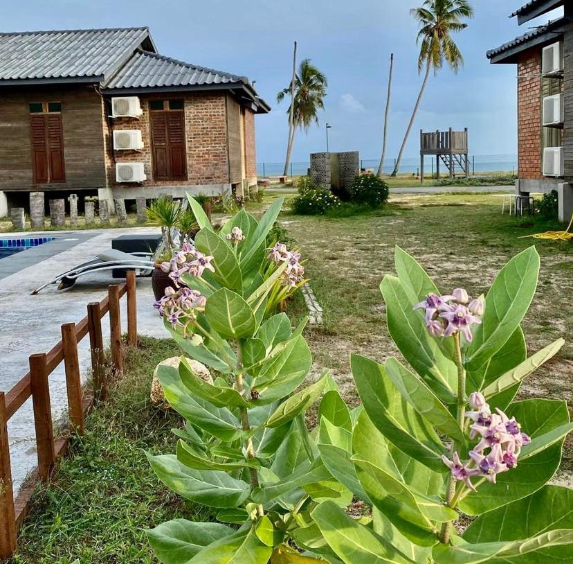 Appartement The Skepeng à Kampung Penarik Extérieur photo